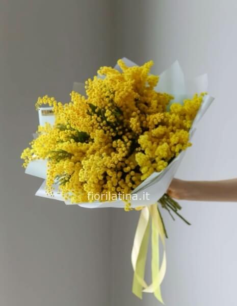 Bouquet di mimosa | Festa della Donna