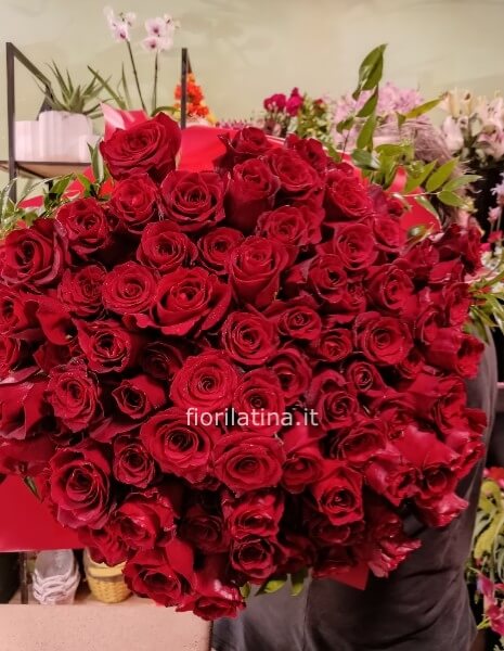 Tralcio di Rose Rosse a Gambo lungo